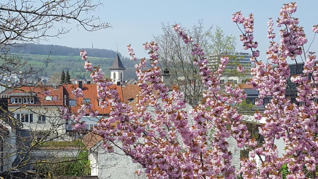 Villa Am Rosenfelspark Леррах Екстер'єр фото