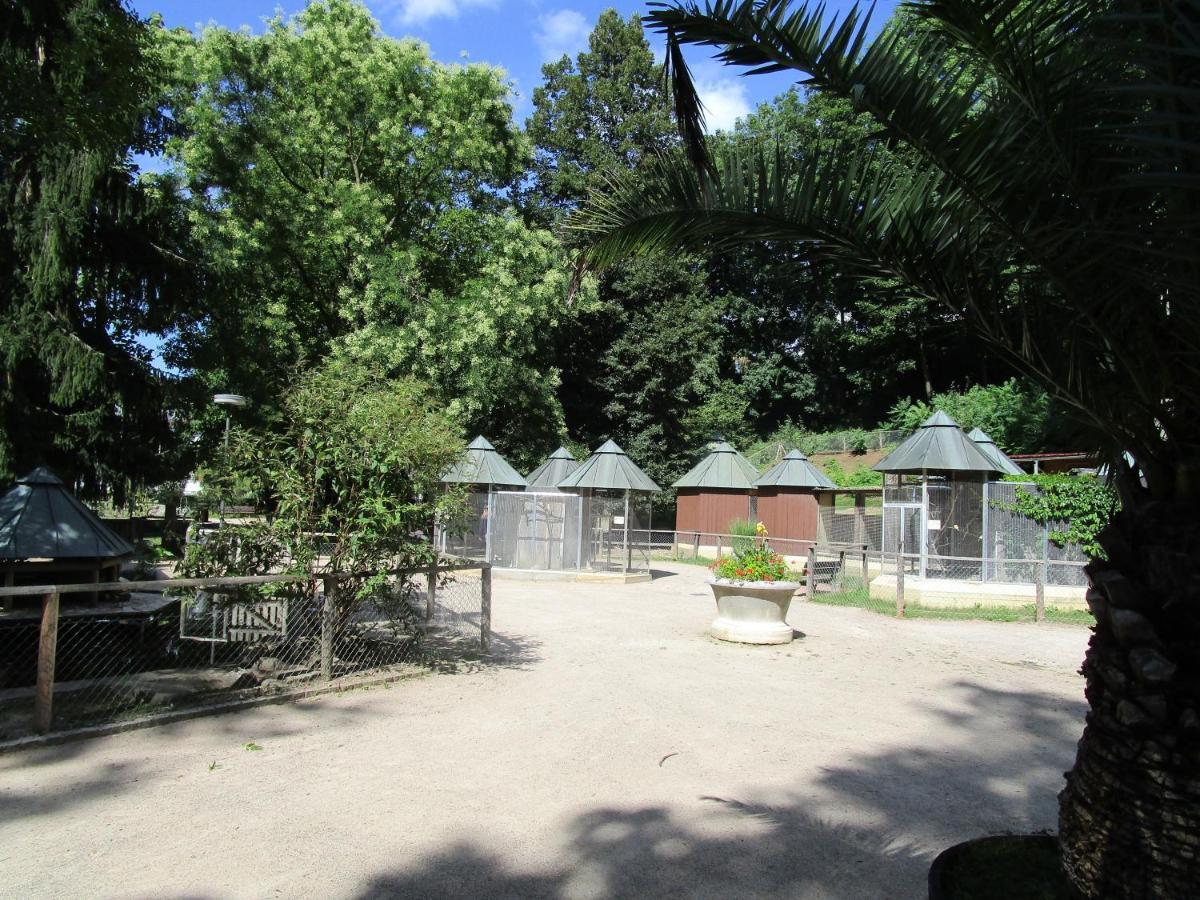 Villa Am Rosenfelspark Леррах Екстер'єр фото